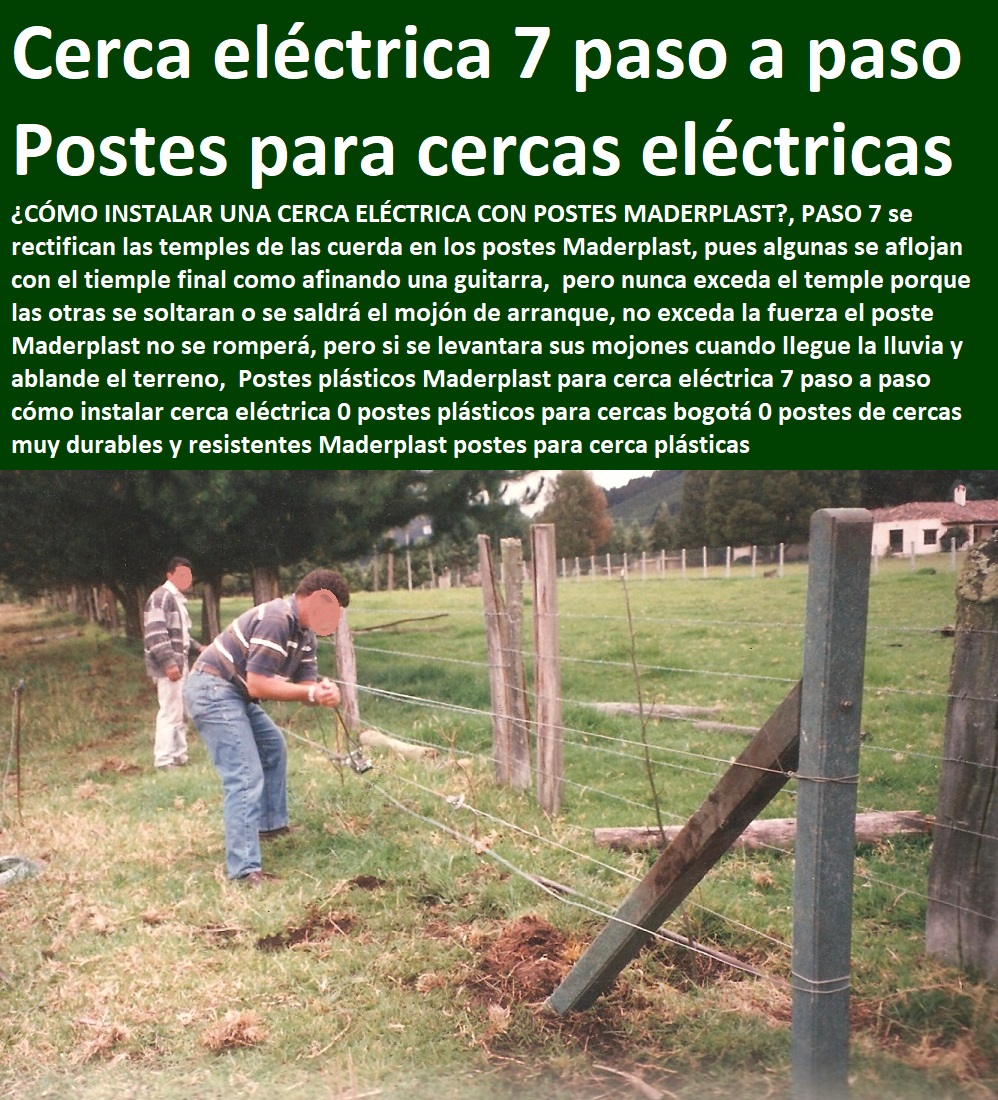 Postes plásticos Maderplast para cerca eléctrica 7 paso a paso cómo instalar cerca eléctrica 0 postes plásticos para cercas bogotá 0 postes de cercas muy durables y resistentes Maderplast postes para cerca plásticas Postes plásticos Maderplast para cerca eléctrica 7 paso a paso cómo instalar cerca eléctrica 0 postes plásticos para cercas bogotá 0 postes de cercas muy durables y resistentes Maderplast postes para cerca plásticas Postes plásticos Maderplast para cerca eléctrica 7 paso a paso cómo instalar cerca eléctrica 0 postes plásticos para cercas bogotá 0 postes de cercas muy durables y resistentes Maderplast postes para cerca plásticas